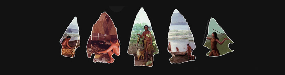 New York Archaeological Council